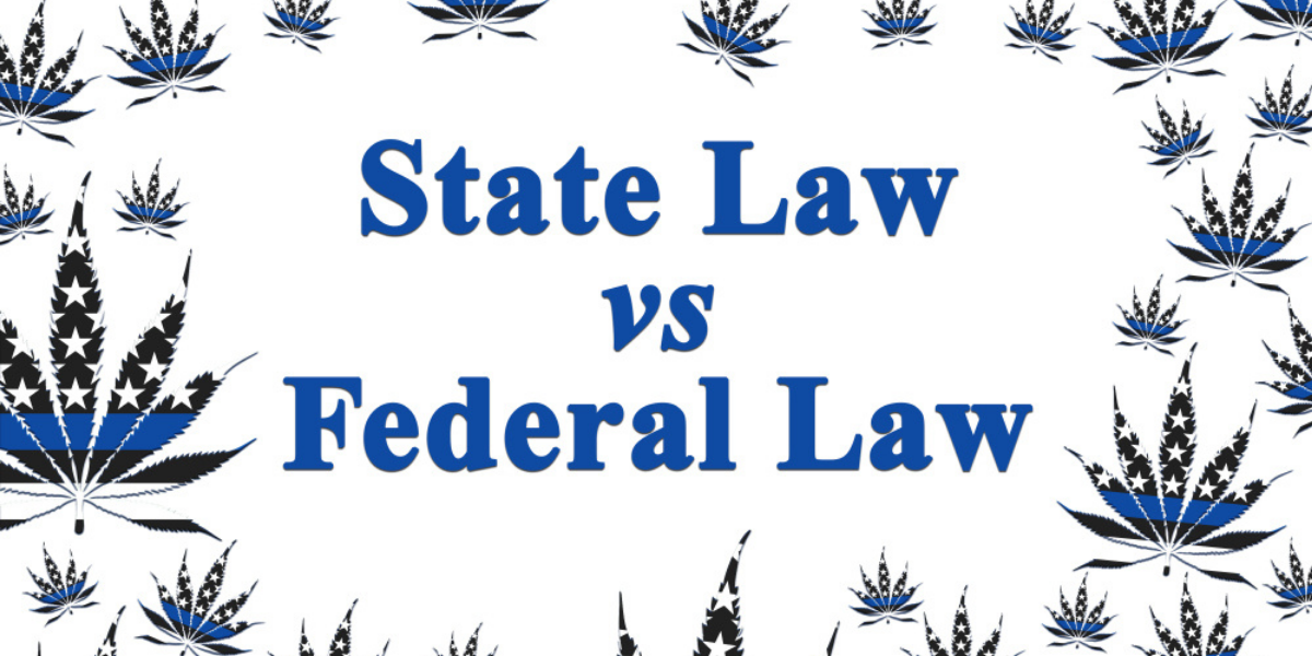 Differences between State and Federal Law