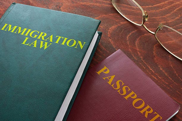 What-Is-the-Average-Immigration-